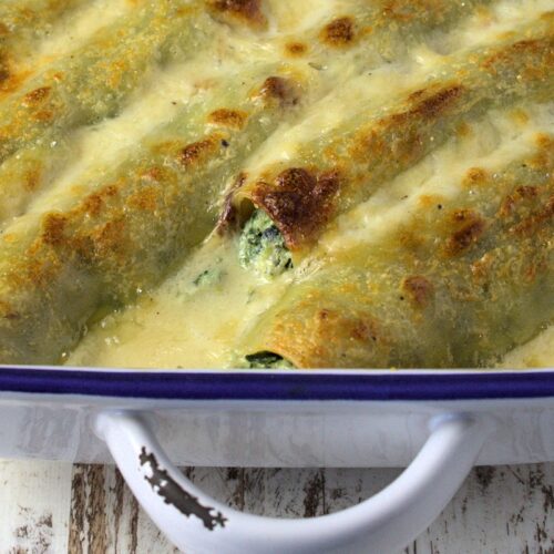 Rezpt für Cannelloni mit Spinat und Ricotta