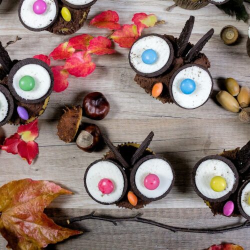 Rezept für putzige Eulen-Muffins
