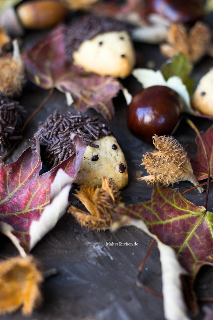 Selbstgebackene Igel kekse mit Schokolade und Schokoladenstreusel