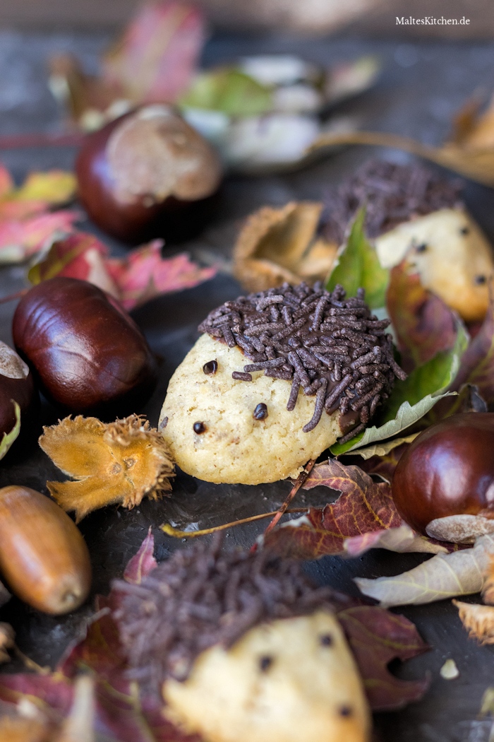 Igel Kekse mit Schokolade