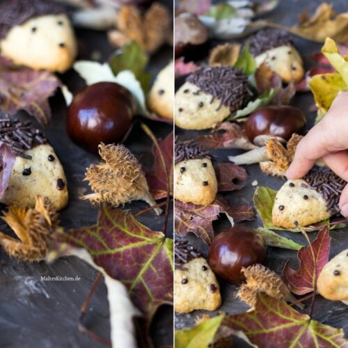 Rezept für süße Igel Kekse mit Schokolade und Schokoladenstreusel
