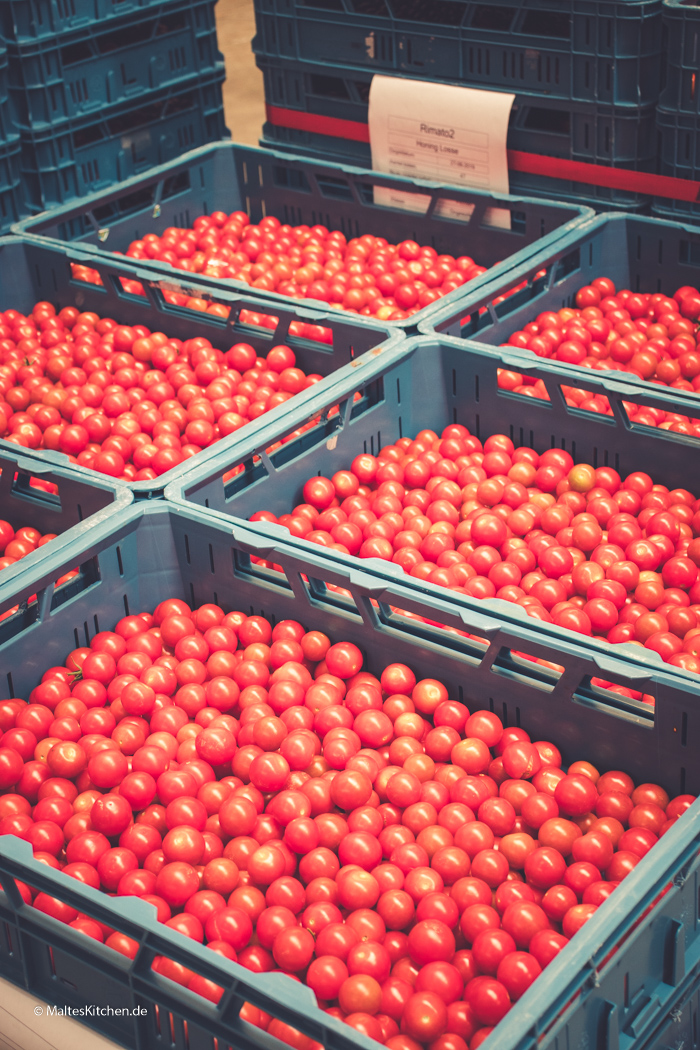 Honigtomaten für den Ketchup