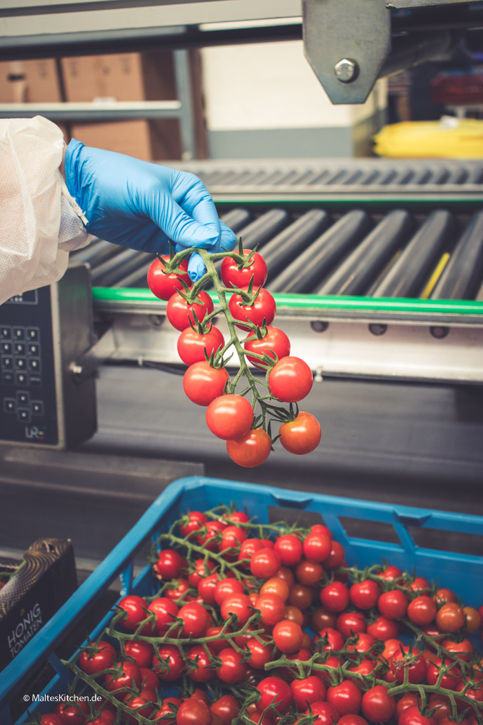 Honigtomaten von Looye