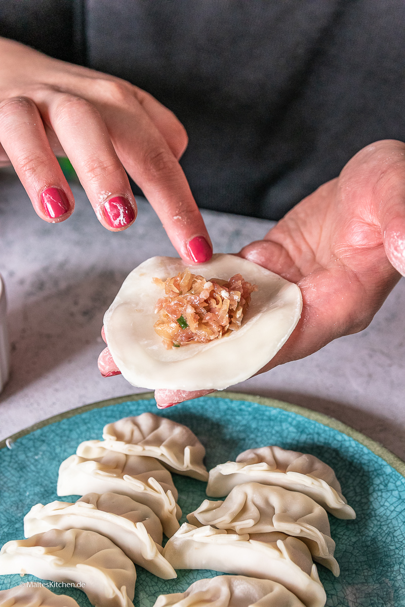 Gyoza Teigplatten