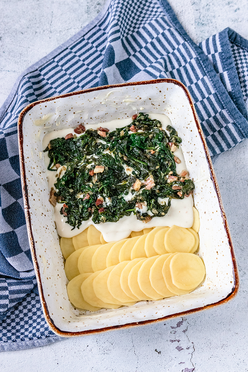 Kartoffelgratin mit Spinat-Speck-Mischung und Béchamel.