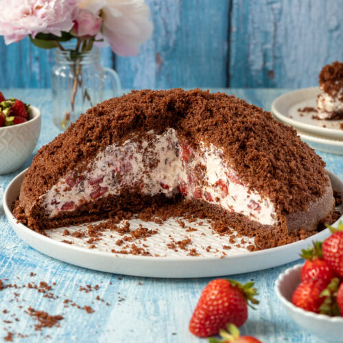 Leckerer Maulwurfkuchen mit Erdbeeren