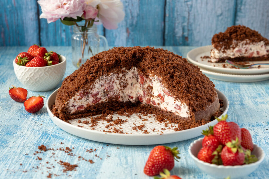 Leckerer Maulwurfkuchen mit Erdbeeren